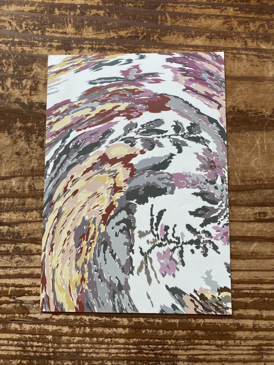 【アンダーカバー UNDERCOVERISM 2000AW MELTING POT期 メルティングポット期 迷彩柄 カモ柄 フライヤー チラシ ポストカード 招待状】拍卖