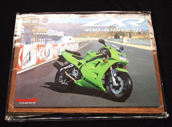 カワサキ ZXR400・R・250 1999年? カタログ美美品・送料込み!拍卖