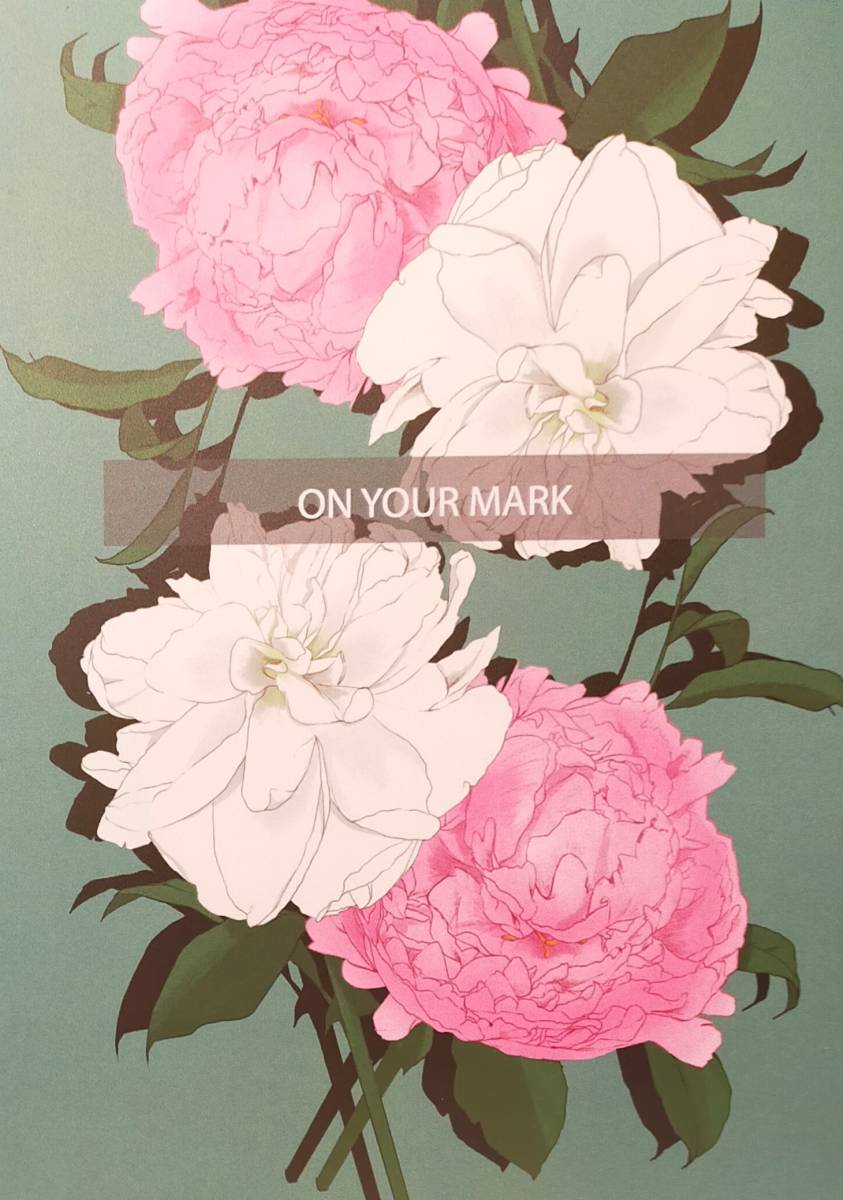 進撃の巨人 【on your mark】リヴァイ×ハンジ リヴァハン拍卖