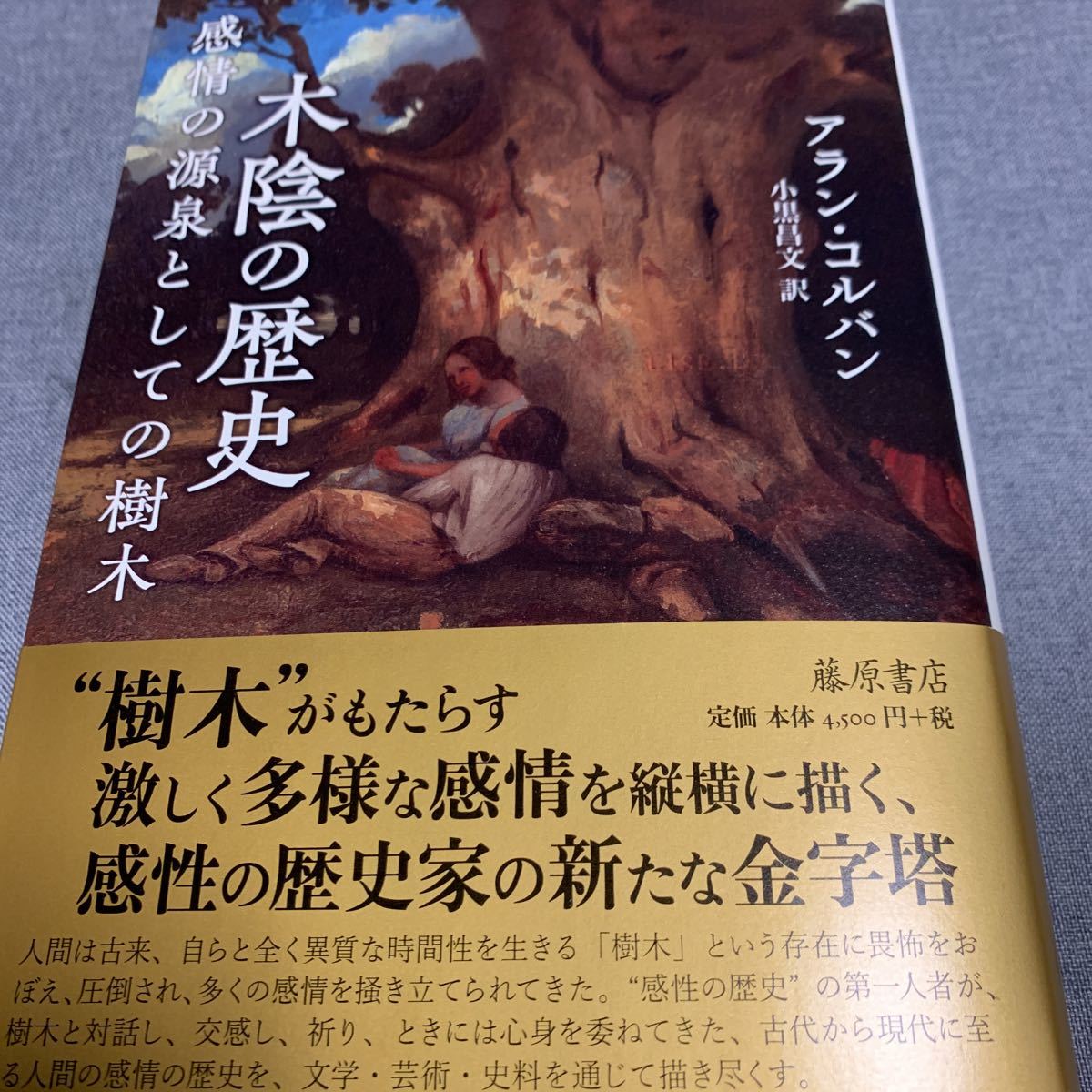 アラン・コルバン 木陰の歴史 〔感情の源泉としての樹木〕拍卖