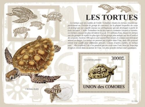 コモロ切手『ウミガメ』2009拍卖