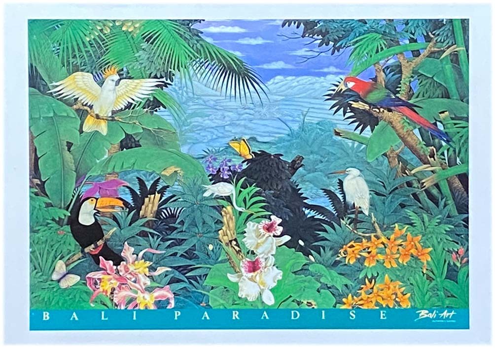 ■箱開封済・パズル未開封■ボン■マクフェラン&スダルサ「バリ パラダイス」■1000PIECES■51.5cm×72.8cm■NO.1000-367■ジグソーパズル拍卖