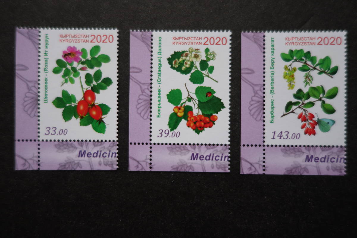 外国切手: キルギス切手「薬用植物」(ノイバラ ほか)3種完 未使用拍卖