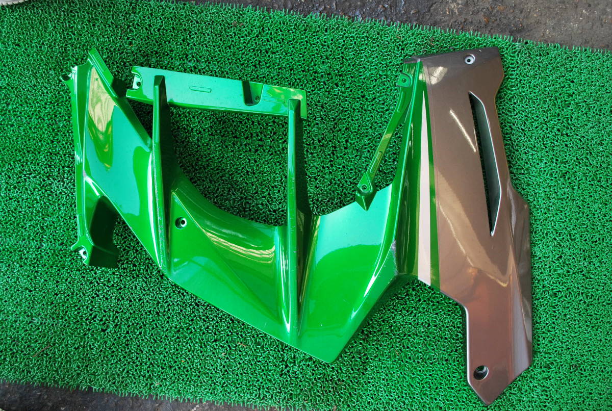 ニンジャ H2 サイドカウル 55028-0826 右拍卖