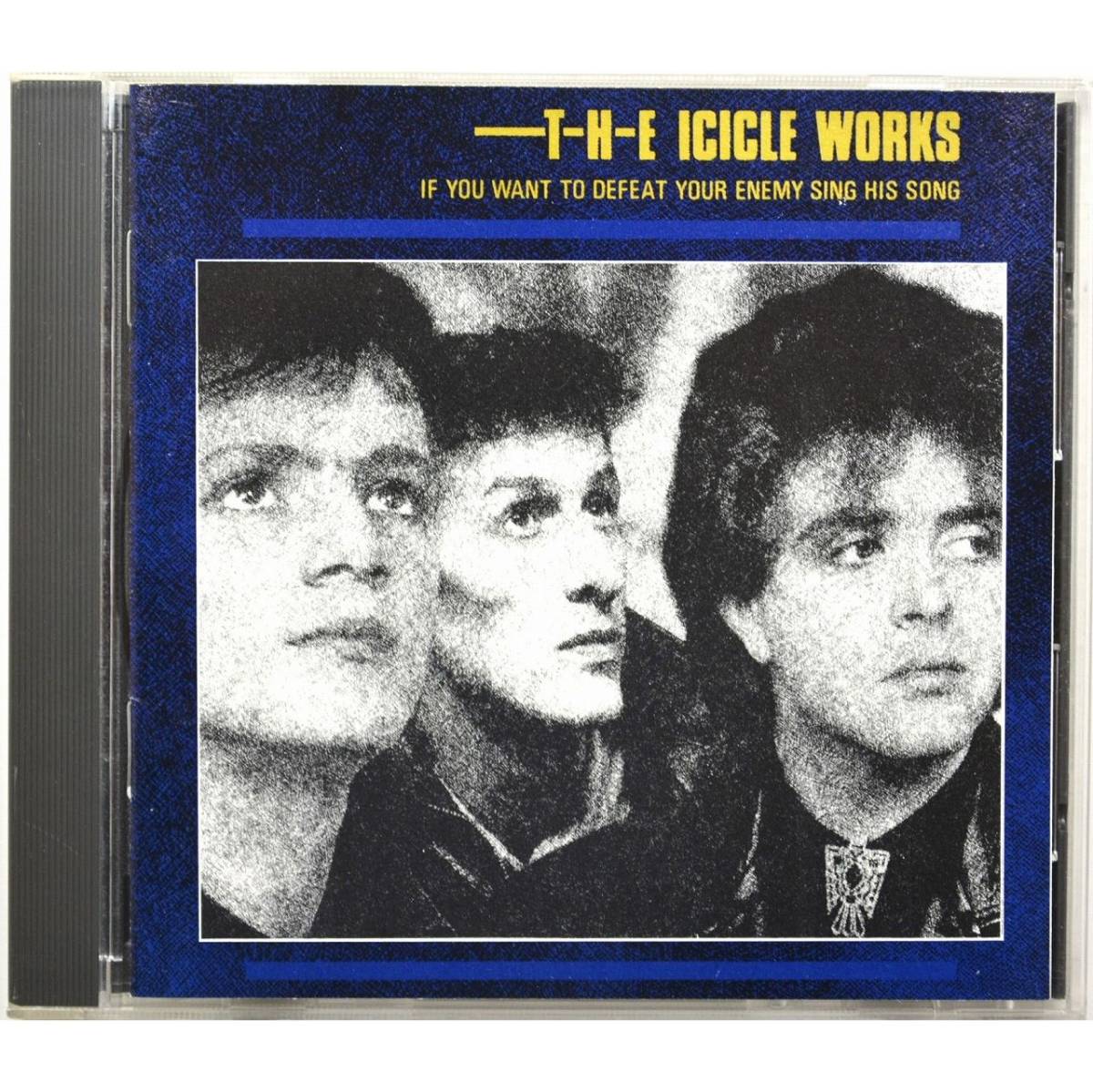 The Icicle Works / If You Want To Defeat Your Enemy Sing His Song ◇ アイシクル・ワークス ◇ イアン・マクナブ ◇拍卖