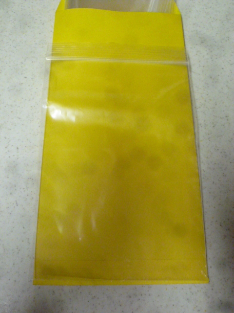 1回使用 チャック袋 A6 10枚 はがきが入るサイズ 120mm×170mm ジッパーバッグ チャック付ポリ袋 ジップロック拍卖