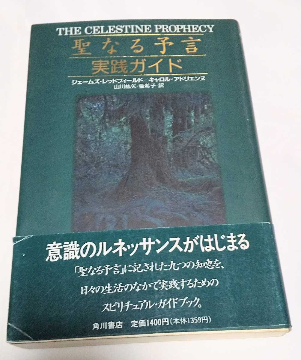 聖なる預言 実践ガイド ジェームズレッドフィールド キャロルアドリエンヌ 角川文庫拍卖