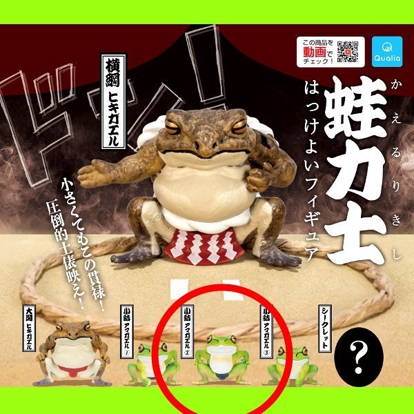 グッズ アマガエル2 蛙力士 ガチャ ヒキガエル マスコット かえる カエル ミニチュア拍卖