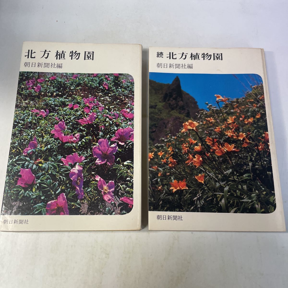 230125♪H15♪送料無料★北方植物園/続北方植物園 2冊セット 朝日新聞社 昭和48年★北海道 植物 草花拍卖