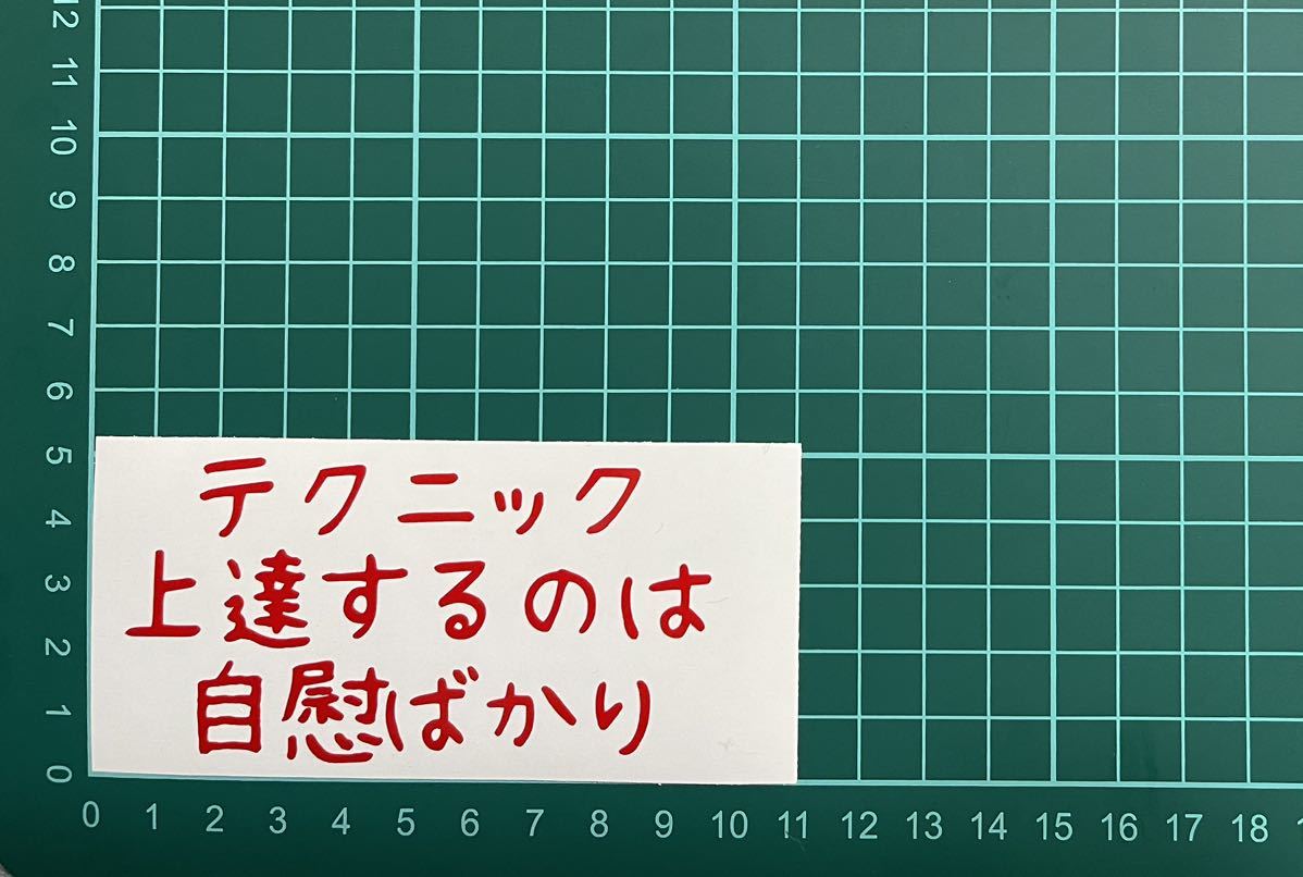 カッティングステッカー バイク シール 詩 ステッカー トラック おもしろ デコトラ 車 下ネタ ポエム 文字 ジョーク拍卖