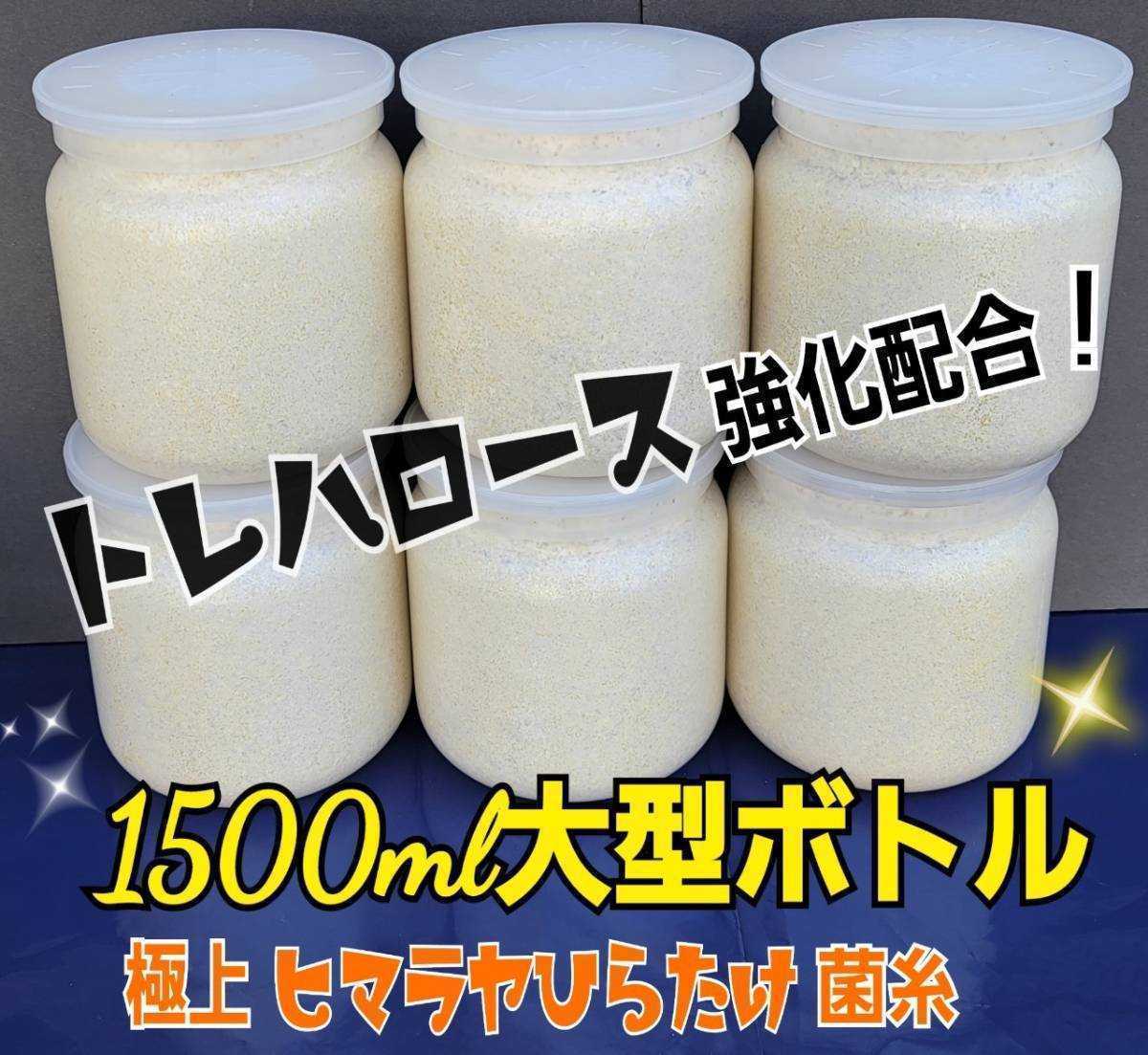 特大菌糸ボトル1500ml【4本】ヒマラヤひらたけ初菌で作成!特殊アミノ酸強化配合!国産オオクワガタ85mm羽化実績!ヒラタ、ギラファにも!拍卖
