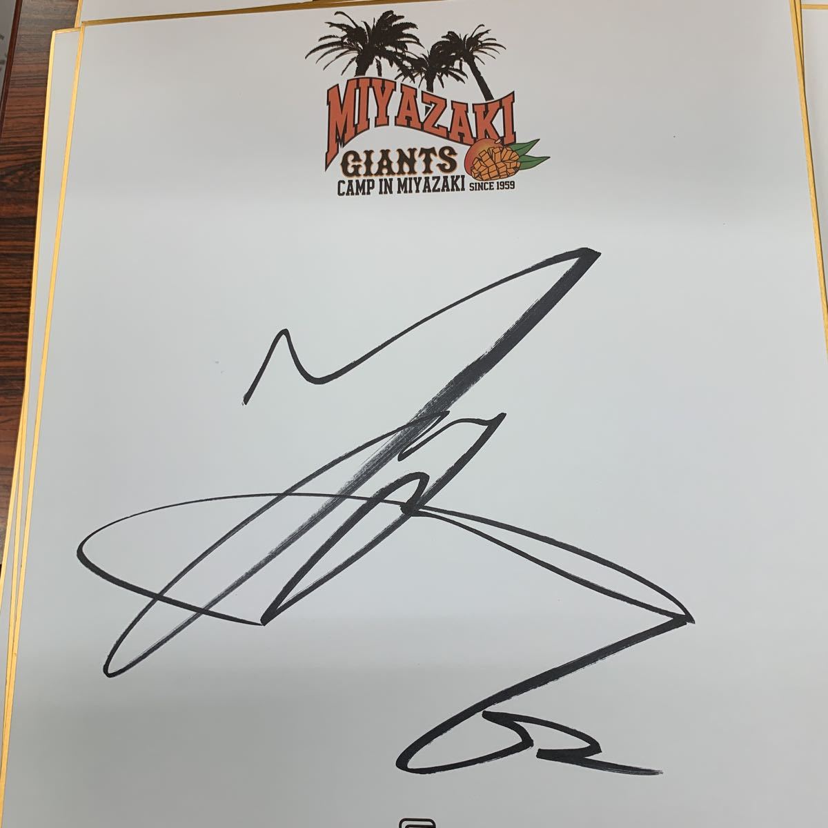 巨人 読売ジャイアンツ 横川 凱選手のサイン入り2019宮崎キャンプ色紙拍卖