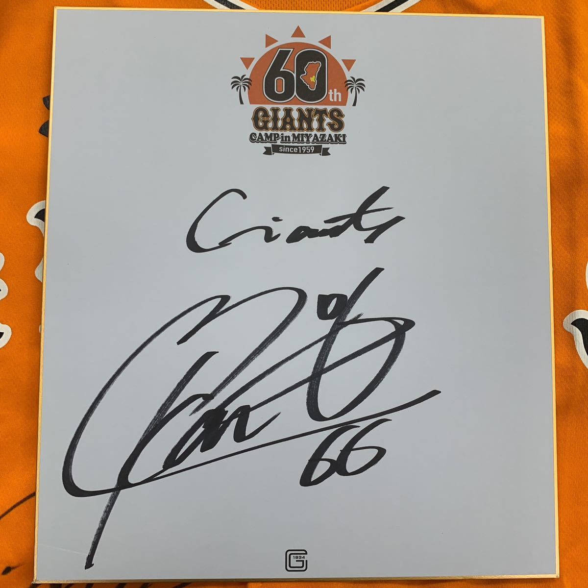 巨人 読売ジャイアンツ 村上海斗選手のサイン入り2018宮崎キャンプ色紙拍卖