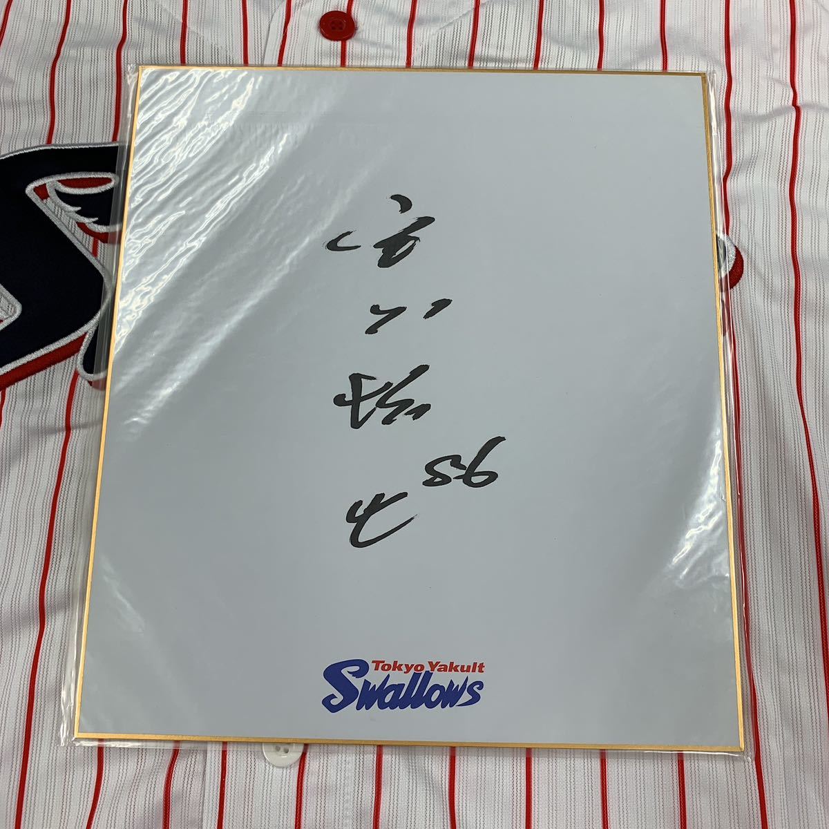 東京ヤクルトスワローズ 宮本慎也コーチのサイン入り球団色紙拍卖