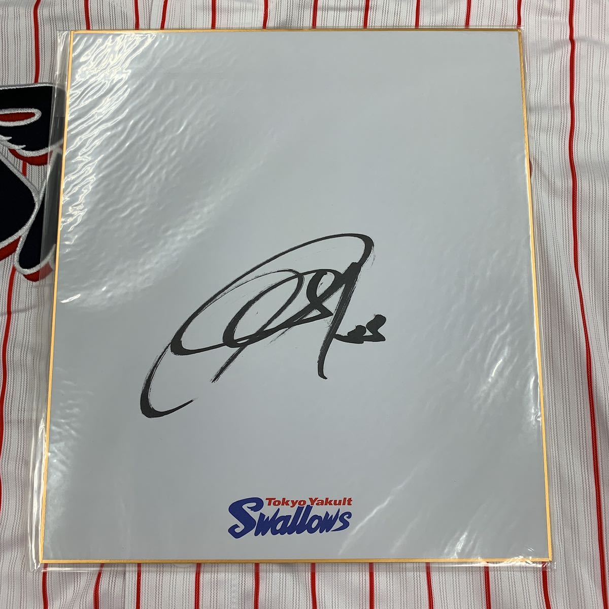 東京ヤクルトスワローズ 畠山和洋選手のサイン入り球団色紙拍卖