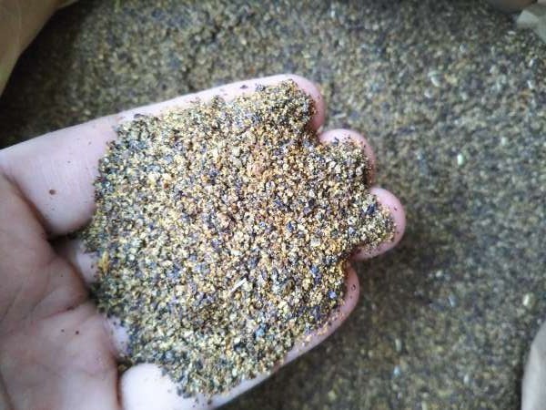 菜種粕(圧抽)5kg 飼料 エサ拍卖