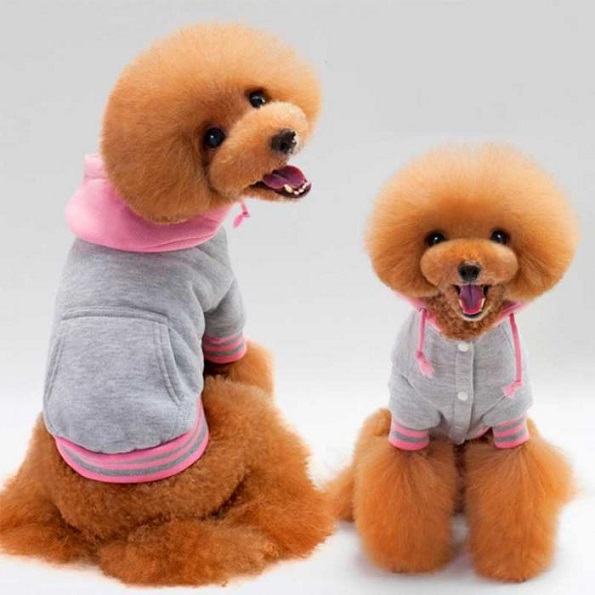 激安即決★ソフトコットン 裏起毛パーカー XL ピンク★新品 ~7kg位 LL 2L拍卖