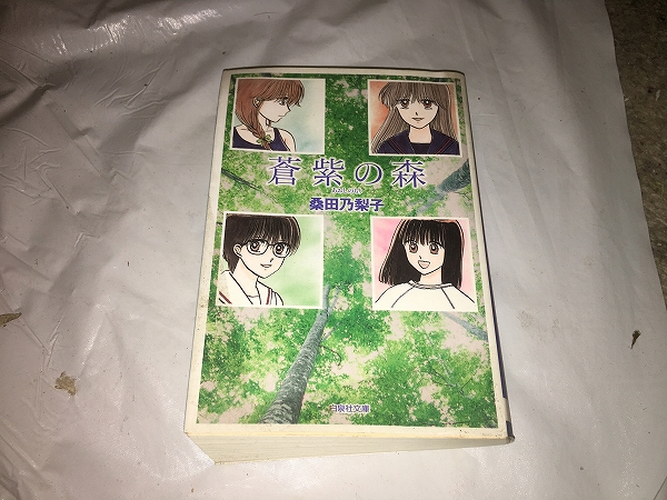 【桑田乃梨子 蒼紫の森/文庫版】 (全1巻)拍卖