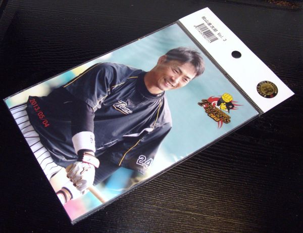 阪神タイガース ポストカードセット 24:桧山進次郎 Vol.3 827872BL187Q2拍卖