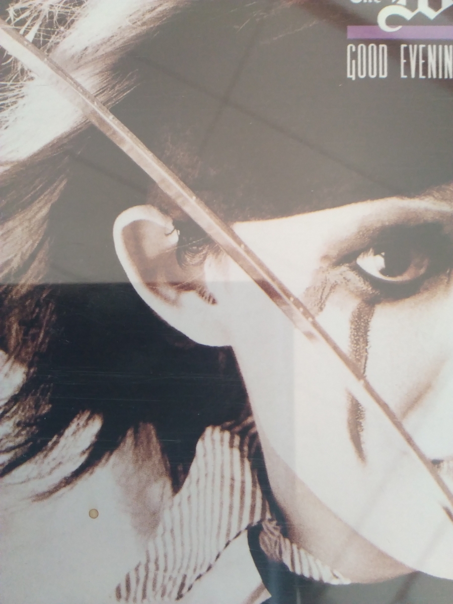 THE WILLARD GOOD EVENING WONDERFUL FIENDザ・ウィラード拍卖