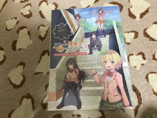 d107クリアファイル 可愛ければ変態でも好きになってくれますか? ゲーマーズ特典拍卖