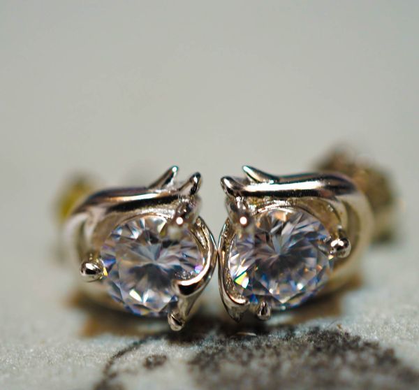 ピアス 山羊座 やぎ座 星座 シルバー925 スタッド スター拍卖