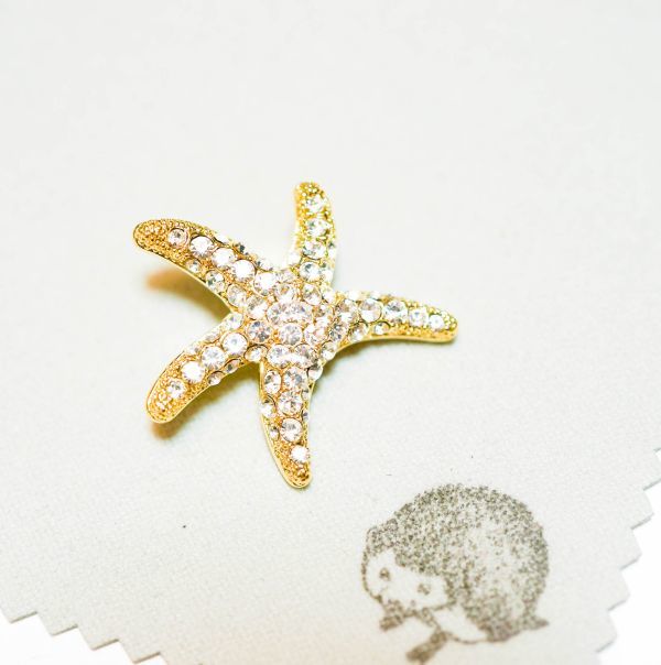 ラペルピン ヒトデ バッジ 動物 水族館 小 砂浜 海 ブローチ スーツ アクセサリー拍卖