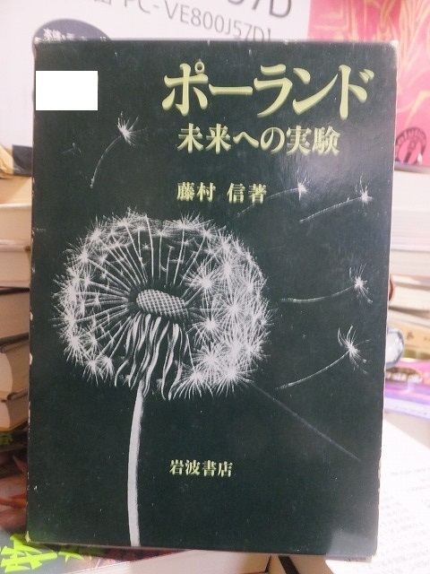 ポーランド 未来への実験 藤村 信拍卖