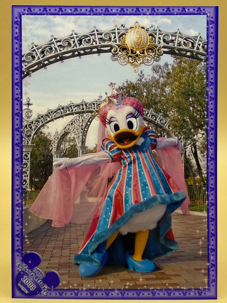 219 TDL 2008 デイジー スペシャルフォト シンデレラブレーション TDL TDS TDR ディズニー 拍卖