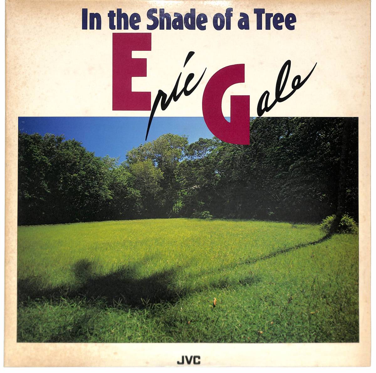 c6720/LP/Eric Gale/In The Shade Of A Tree拍卖