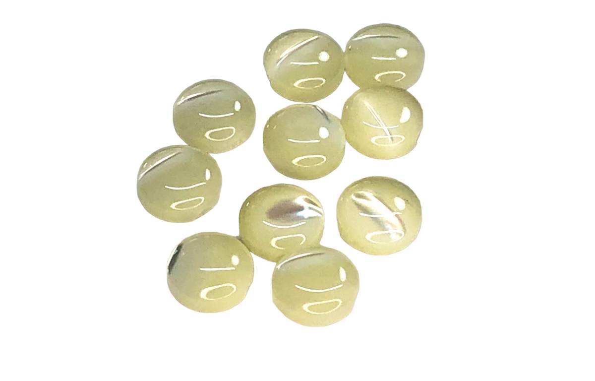 高瀬貝 小さなコロコロした可愛い裏穴ボタン 6mm 10個セット ★SH-2584拍卖