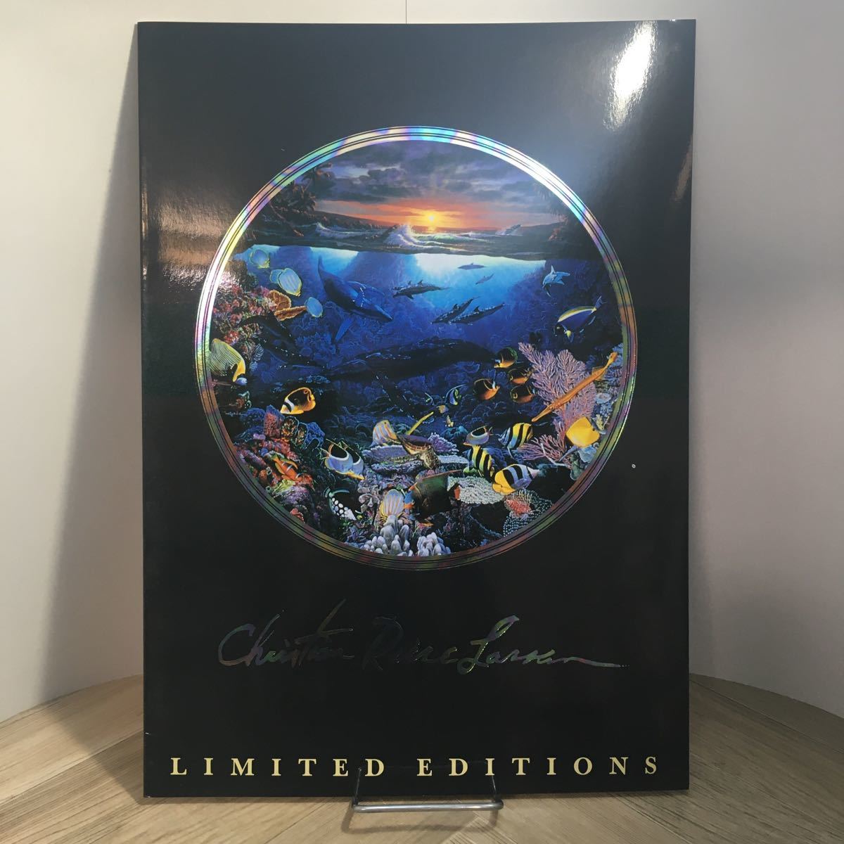 102x●クリスチャン・ラッセン LIMITED EDITIONS 画集 パンフレット ART VIVANT拍卖