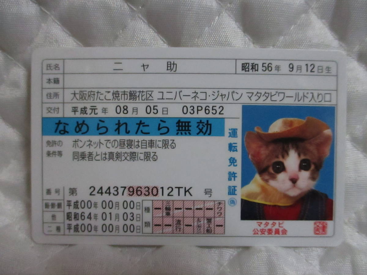 【 なめ猫 ニャ助 】 免許証 なめられたら無効 ブルー 新品 即決 なめんなよ なめ猫同梱検索拍卖