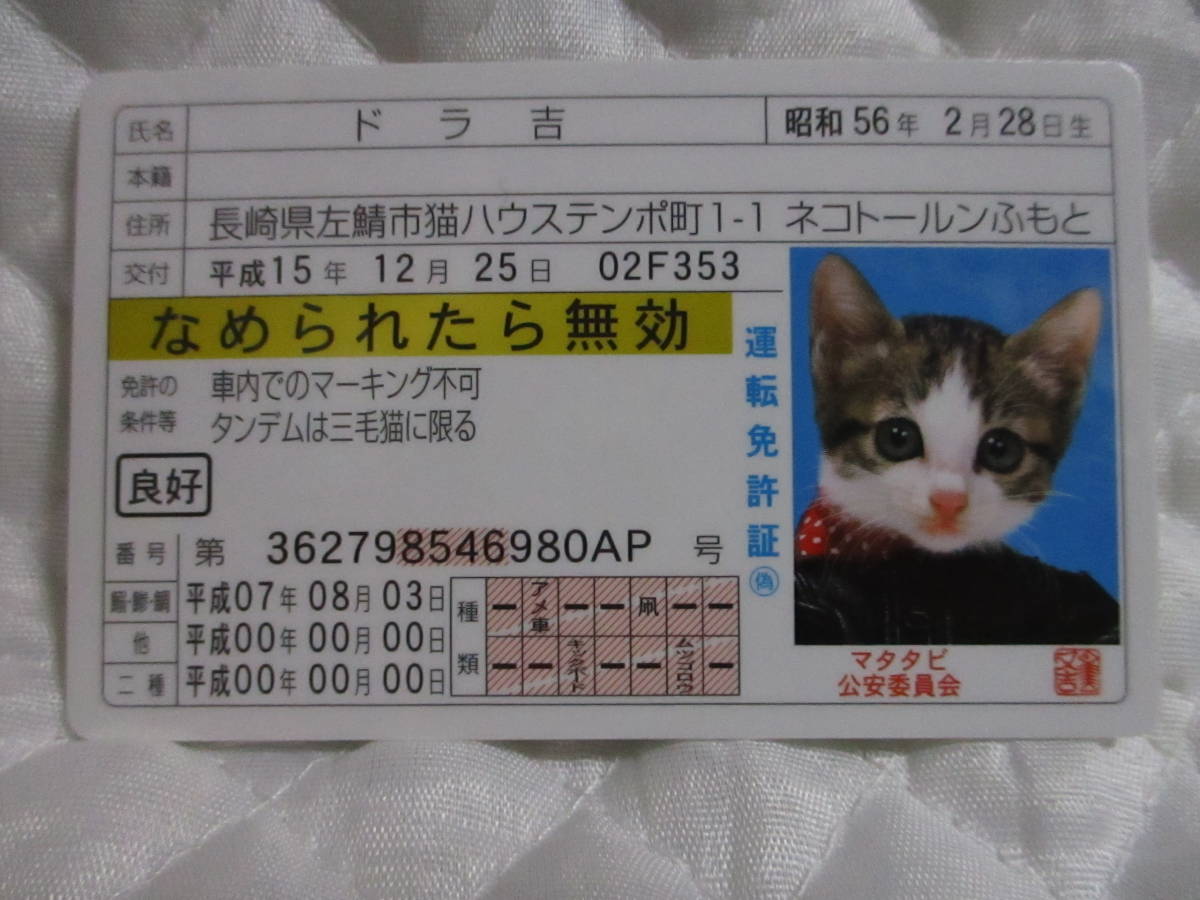 【 なめ猫 ドラ吉 】 免許証 なめられたら無効 ゴールド 新品 即決 なめんなよ なめ猫同梱検索拍卖