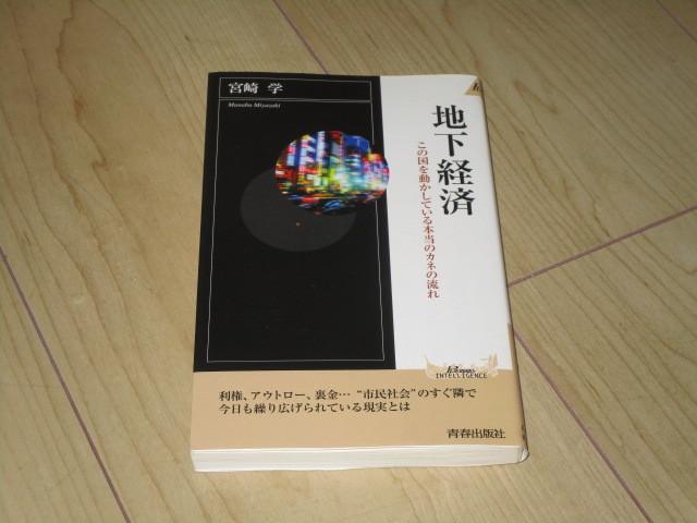 中古本【地下経済 この国を動かしている本当のカネの流れ/宮崎学】新書・PLAY BOOKS拍卖