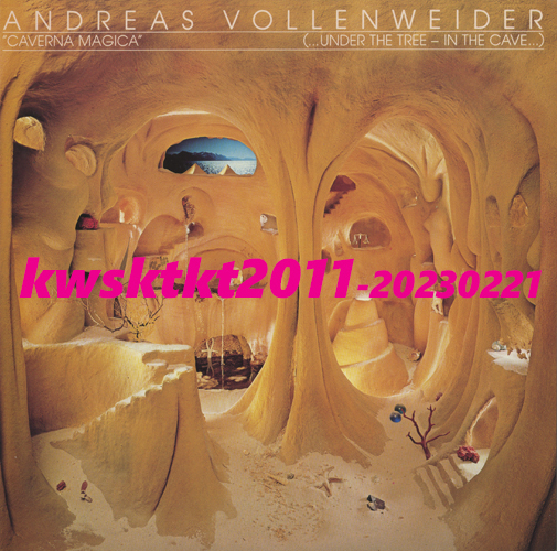 28・3P-465★アンドレアス・フォーレンヴァイダー マインド・ムービー拍卖