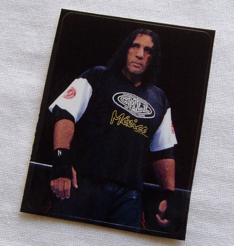 ジャイアントシルバ ステッカー シール◆新日本プロレス NJPW PRIDE ハッスル TEAM2000 TDK7拍卖