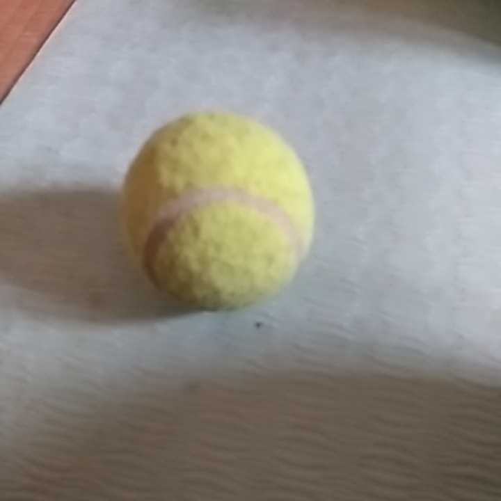 【Q】テニスボール■中古拍卖