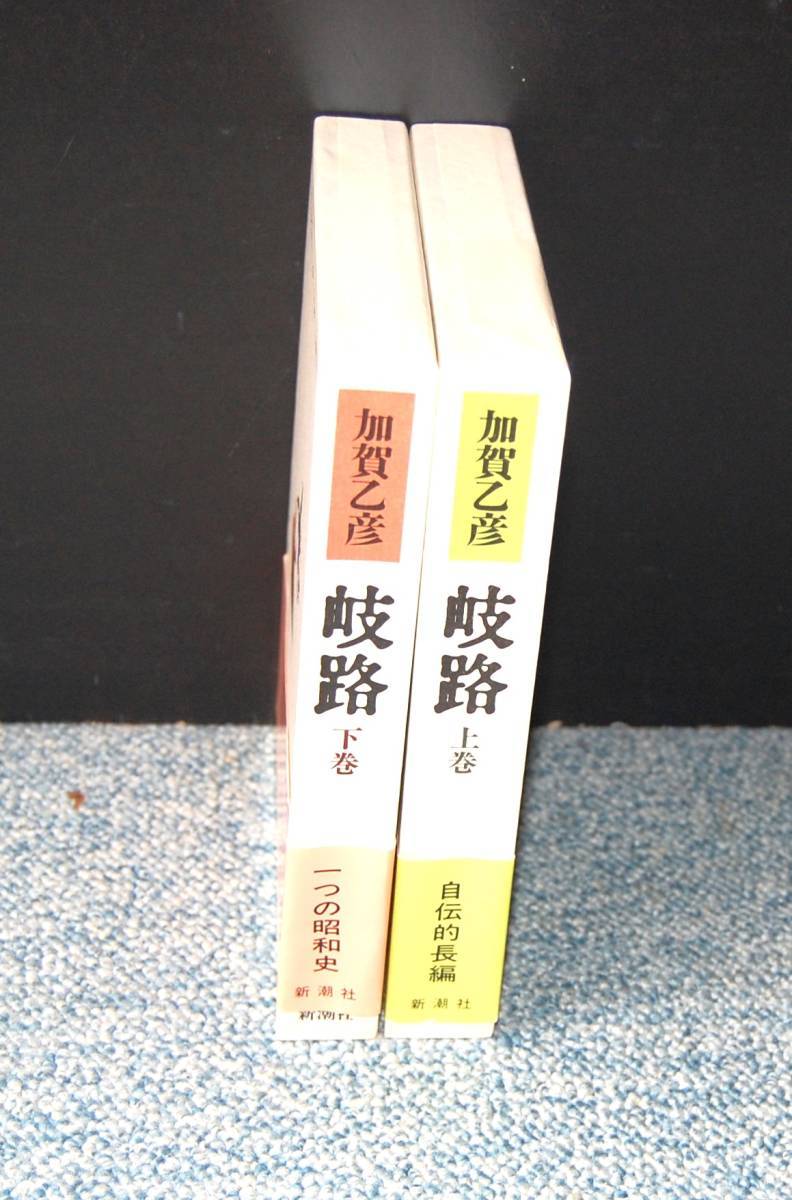 帰路(上・下)全2巻 加賀乙彦 新潮社 帯付き/化粧箱/パラフィンカバー 西本1624拍卖