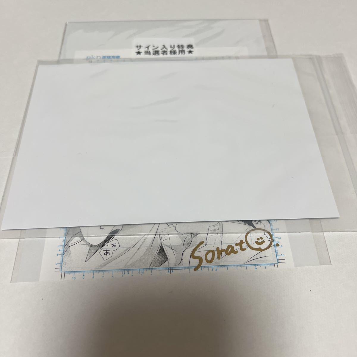 BL 複製原稿 複製原稿用紙 サイン入り ( そらと )拍卖