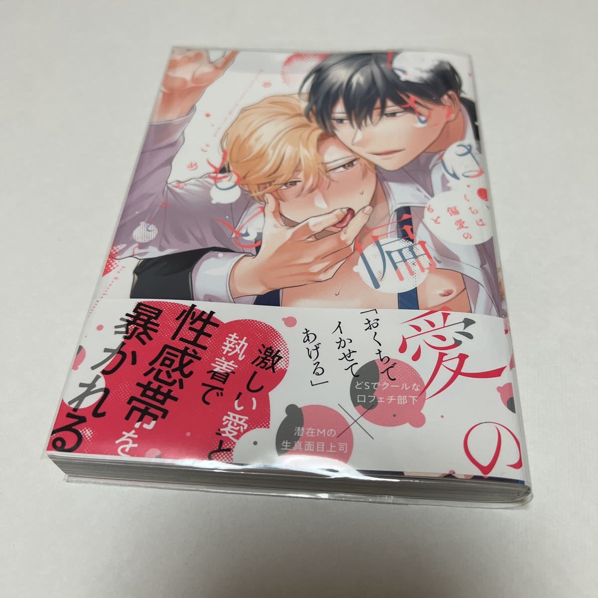 BL 3429 くちは偏愛のもと…こめおかしぐ拍卖