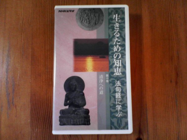 FD NHKビデオ 生きるための知恵 法句経に学ぶ 第十巻 清浄への道 石上善應 60分拍卖
