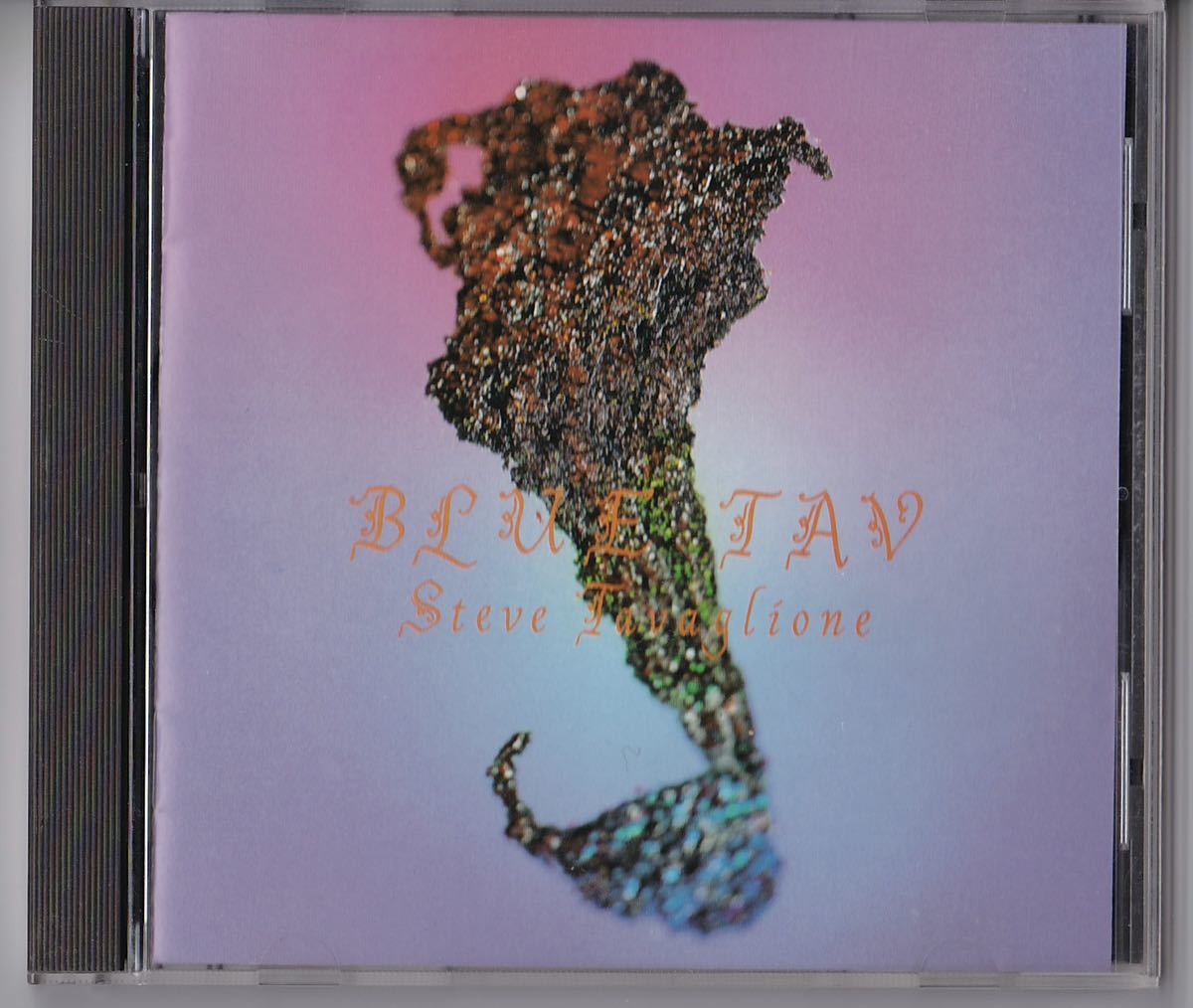 スティーヴ・タヴァローニ 「ブルー・タブ」 アラン・ホールズワース参加 Steve Tavaglione / Blue Tav Allan Holdsworth alan拍卖