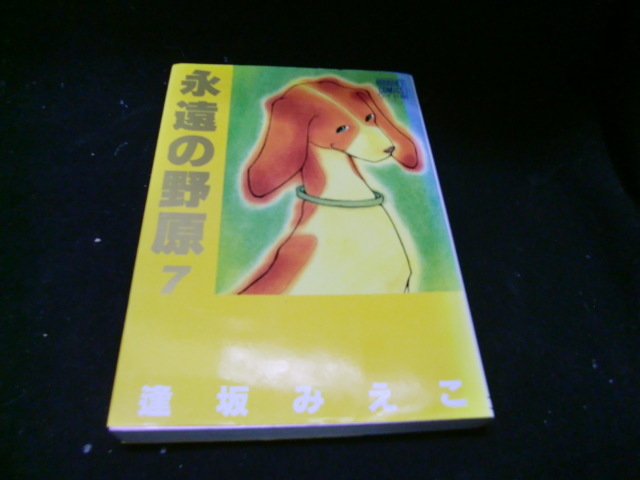 永遠の野原   7 (ぶ~けコミックス) 逢坂 みえこ 37563 背表紙が焼けて色が、薄くなっています。拍卖