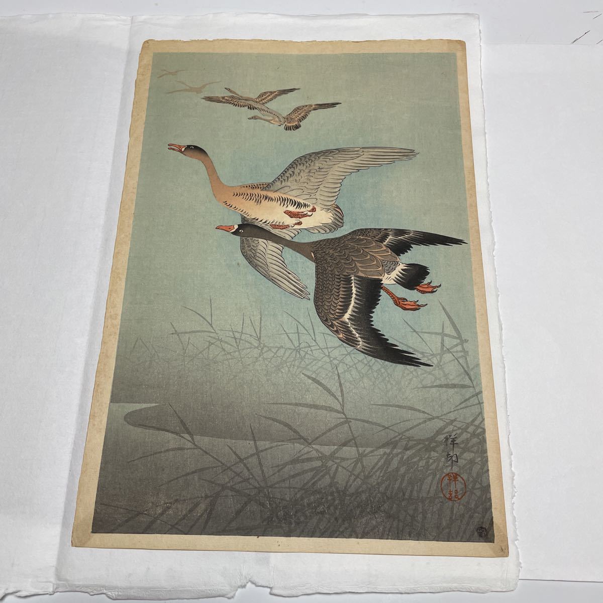 即決!真作 小原祥邨(古邨)の木版画/飛ぶ鴨(検索=高橋松亭 川瀬巴水 土屋光逸 雪岱 吉田博 渡辺省亭 新版画 庄田耕峯 小原古邨 祥邨 芳宗)拍卖