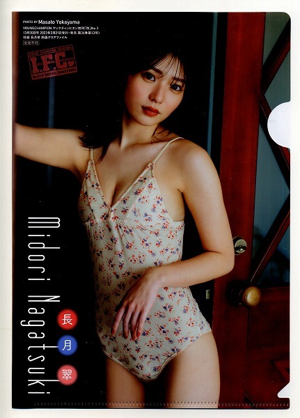 ヤングチャンピオン烈 2023年03号付録 長月翠 クリアファイル拍卖