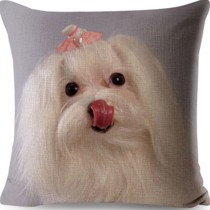 【送料無料】マルチーズ K2 クッションカバー【 新品】拍卖