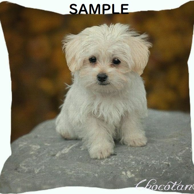 【送料無料】マルチーズ F クッションカバー【 新品】拍卖