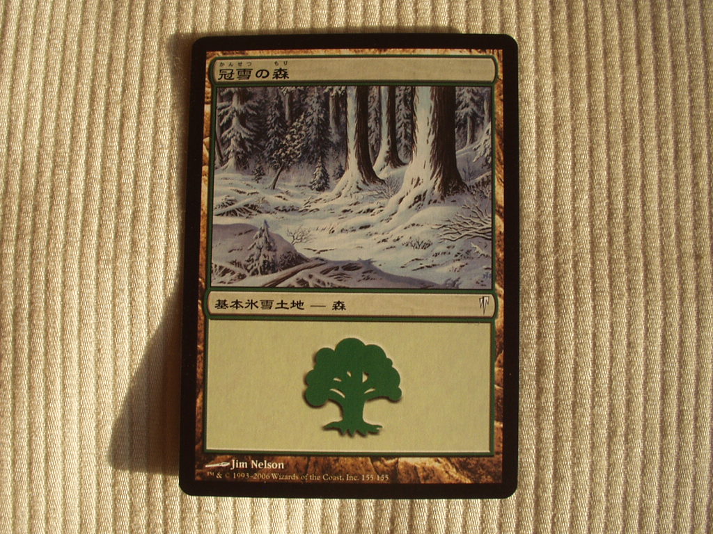 バイン MTG 冠雪の森 日本語10枚拍卖