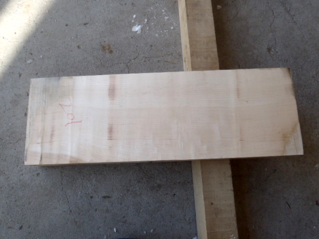 カエデ(楓) No.20180201bro拍卖